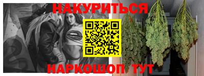 индика Кулебаки