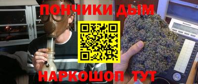 индика Кулебаки