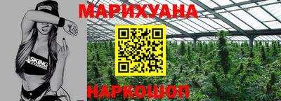 индика Кулебаки