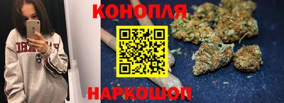 индика Кулебаки