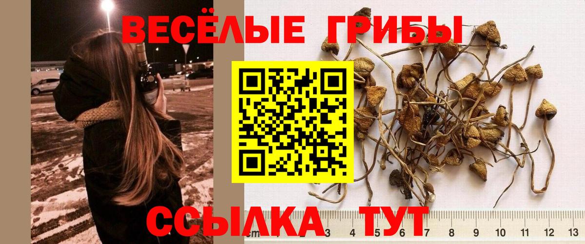 Галлюциногенные грибы мицелий Ульяновск
