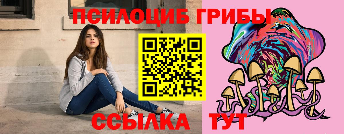 Псилоцибиновые грибы Psilocybine cubensis  Вход с VPN  Ульяновск 